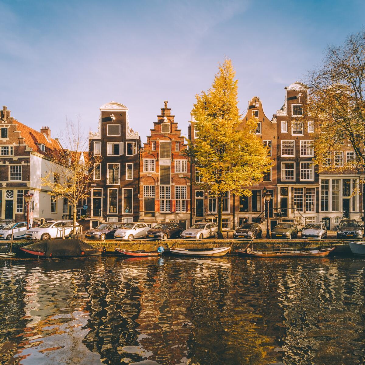 Historic canal houses and a yellow autumn tree reflected in the water along a calm canal.
