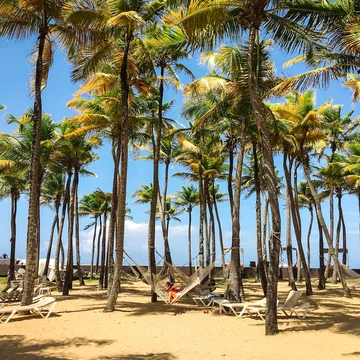 A beach in San Juan with palm trees and hammocks