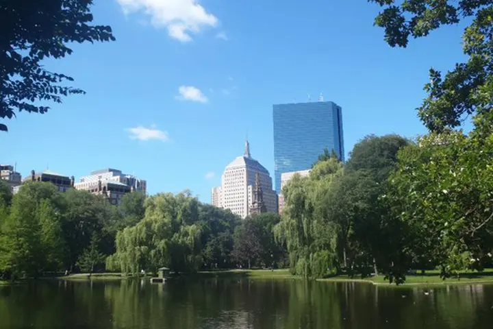 The Boston cityscape.