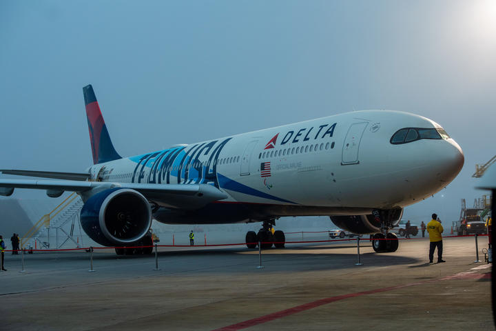 Delta's Team USA Livery