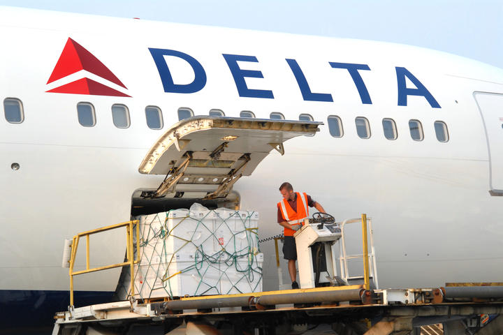 Delta Cargo