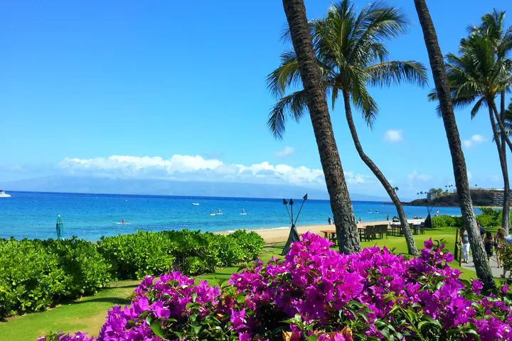 Beaches of Hawaii