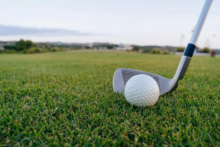 Golf club and ball on grass