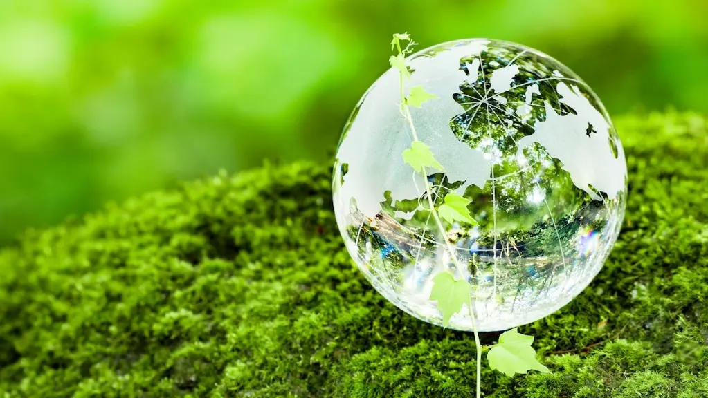 A glass globe in a green field.